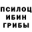 Галлюциногенные грибы Psilocybe Randy Sprecher